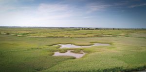 A bird's eye view of a marshy area near Goodchild Marine.