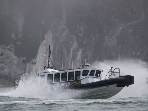 A Goodchild Marine boat gracefully glides on the water, with a majestic mountain serving as a breathtaking backdrop.