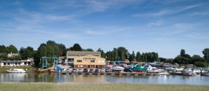 Goodchild Marine Site Image